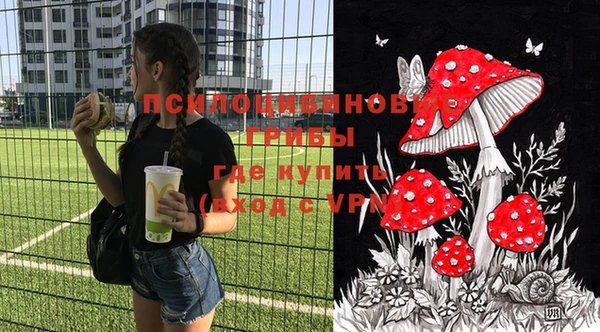 круглые Алзамай
