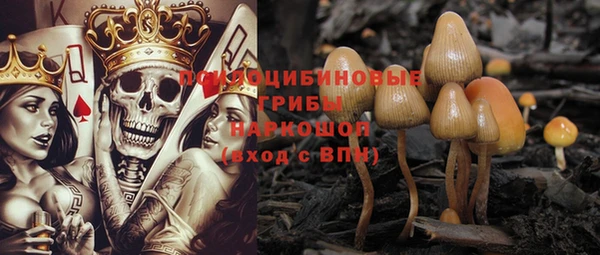 альфа пвп Алексеевка