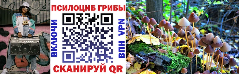 Галлюциногенные грибы MAGIC MUSHROOMS ОМГ ОМГ ссылки Щигры